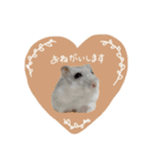 おもち よもぎ ここ ♥2（個別スタンプ：1）