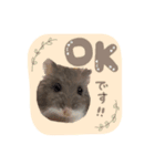 おもち よもぎ ここ ♥2（個別スタンプ：4）