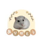 おもち よもぎ ここ ♥2（個別スタンプ：7）
