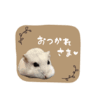 おもち よもぎ ここ ♥2（個別スタンプ：8）