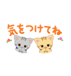 子猫ちゃんたちの［省スペース］スタンプ♡（個別スタンプ：30）