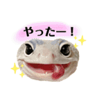 レオパの沼へようこそ！（個別スタンプ：4）