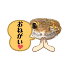 レオパの沼へようこそ！（個別スタンプ：14）