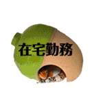 レオパの沼へようこそ！（個別スタンプ：37）