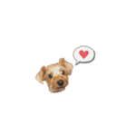 もっちゃん ②（個別スタンプ：1）