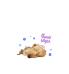 もっちゃん ②（個別スタンプ：3）