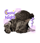 幸せ招き猫。心晴【こはる】LINEスタンプ（個別スタンプ：2）