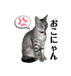 幸せ招き猫。心晴【こはる】LINEスタンプ（個別スタンプ：7）