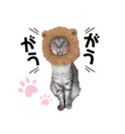 幸せ招き猫。心晴【こはる】LINEスタンプ（個別スタンプ：9）