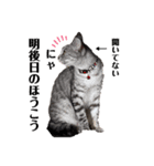 幸せ招き猫。心晴【こはる】LINEスタンプ（個別スタンプ：12）