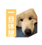 お仕事スタンプ(ikd)（個別スタンプ：15）