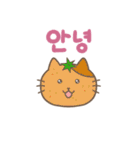 猫のみゃーすけ4(韓国語版)（個別スタンプ：4）