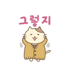 猫のみゃーすけ4(韓国語版)（個別スタンプ：15）