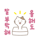 猫のみゃーすけ4(韓国語版)（個別スタンプ：37）