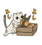 毎日、猫たち 2（個別スタンプ：16）