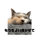 毎日☆ラムネ（個別スタンプ：2）