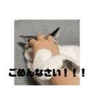 毎日☆ラムネ（個別スタンプ：11）