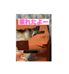 パック89（個別スタンプ：2）