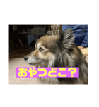 パック89（個別スタンプ：6）