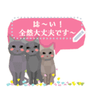 うさぎ猫ひよこー了解系・有難うぺこり充実（個別スタンプ：4）