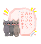 うさぎ猫ひよこー了解系・有難うぺこり充実（個別スタンプ：13）