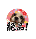 リンゴさんスタンプ パート6+（個別スタンプ：1）
