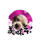 リンゴさんスタンプ パート6+（個別スタンプ：2）