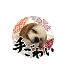 リンゴさんスタンプ パート6+（個別スタンプ：4）