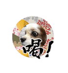 リンゴさんスタンプ パート6+（個別スタンプ：10）