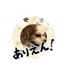 リンゴさんスタンプ パート6+（個別スタンプ：13）