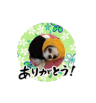 リンゴさんスタンプ パート6+（個別スタンプ：18）