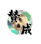 リンゴさんスタンプ パート6+（個別スタンプ：25）