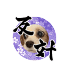 リンゴさんスタンプ パート6+（個別スタンプ：26）