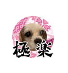 リンゴさんスタンプ パート6+（個別スタンプ：27）