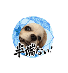 リンゴさんスタンプ パート6+（個別スタンプ：29）