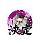 リンゴさんスタンプ パート6+（個別スタンプ：31）