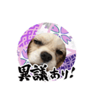 リンゴさんスタンプ パート6+（個別スタンプ：38）