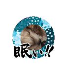 リンゴさんスタンプ パート6+（個別スタンプ：40）