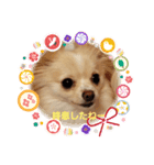 LUNA＆SEAです～10月シー編（個別スタンプ：2）