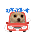 LUNA＆SEAです～10月シー編（個別スタンプ：3）