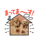 LUNA＆SEAです～10月シー編（個別スタンプ：4）