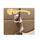ハムスターのたっくん（個別スタンプ：21）