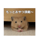 ハムスターのたっくん（個別スタンプ：32）