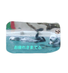 動物スタンプ（改良版）（個別スタンプ：4）