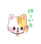 ふわふわねこーず（個別スタンプ：12）