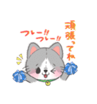 ふわふわねこーず（個別スタンプ：38）