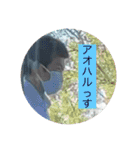 おおおおおおおおおちちちちち（個別スタンプ：13）
