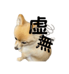 こむぎの。（個別スタンプ：3）