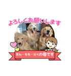 ゴールデンレトリバー金＆桃＆福（個別スタンプ：27）