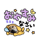 ゴールデンレトリバー金＆桃＆福（個別スタンプ：31）